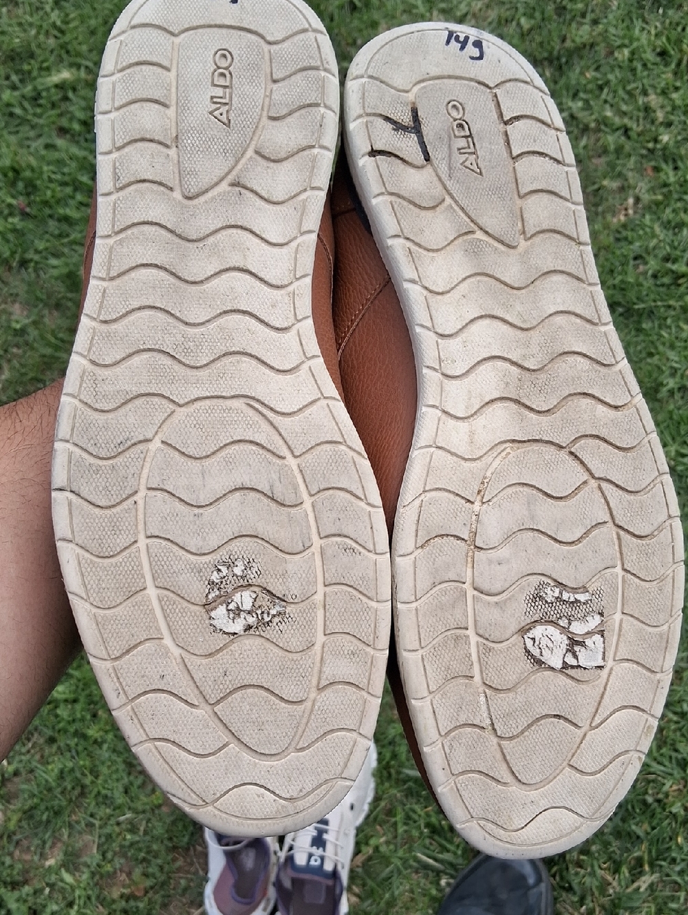 Aldo Men's Tan and Black Sneakers - Picture 13 of 13